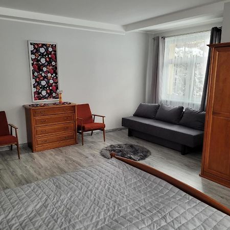 Apartamenty U Zosi 卡尔帕奇 外观 照片